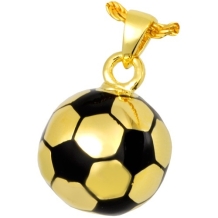 Voetbal Ashanger Gold Plated