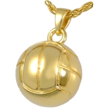 Volleybal Ashanger Gold Plated