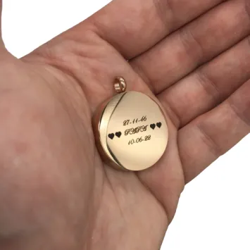 RVS Ashanger met Foto Locket Rosegoud