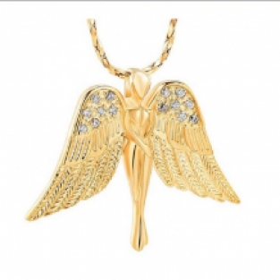 RVS Ashanger Angel Goud
