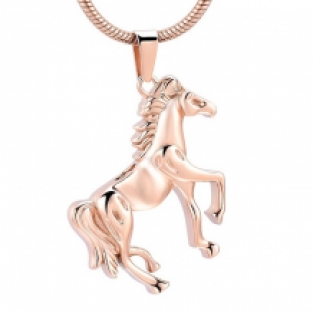 RVS Ashanger Paard Rosegoud