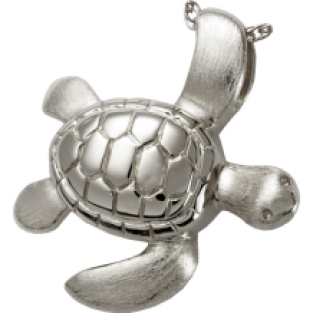 Schildpad Ashanger Platina