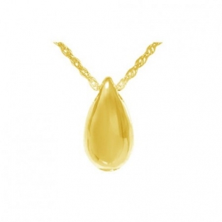Verguld Gouden Asbedel Hanger Druppel
